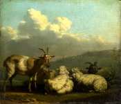 Karel Dujardin - Sheep and Goats